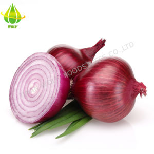 Hydraruzxpnew4af onion не работает в тор